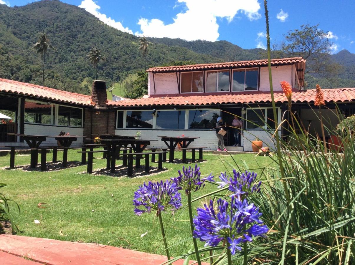 Palmas De Cocora ξενώνας Σαλέντο Εξωτερικό φωτογραφία