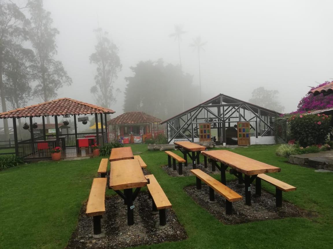 Palmas De Cocora ξενώνας Σαλέντο Εξωτερικό φωτογραφία